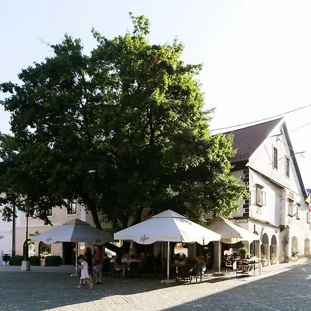 As Novo Mesto